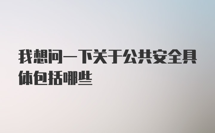 我想问一下关于公共安全具体包括哪些