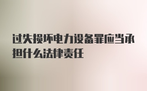 过失损坏电力设备罪应当承担什么法律责任