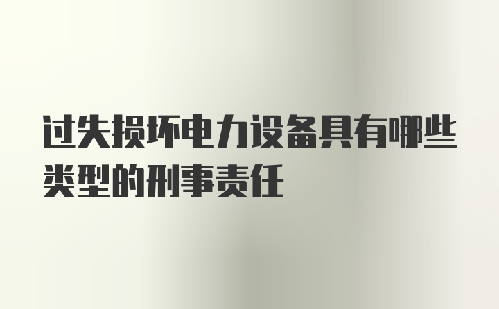 过失损坏电力设备具有哪些类型的刑事责任