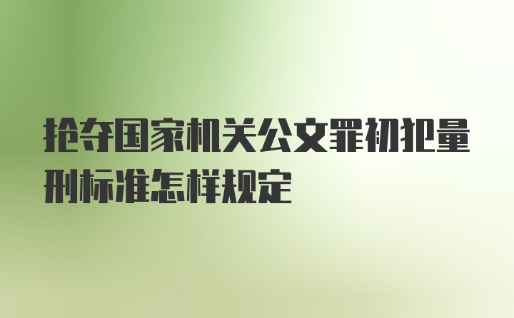 抢夺国家机关公文罪初犯量刑标准怎样规定