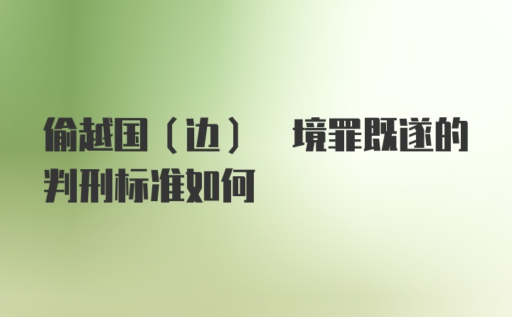 偷越国(边) 境罪既遂的判刑标准如何