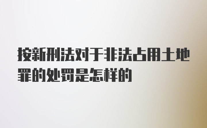 按新刑法对于非法占用土地罪的处罚是怎样的