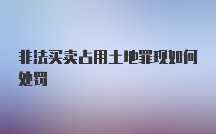 非法买卖占用土地罪现如何处罚