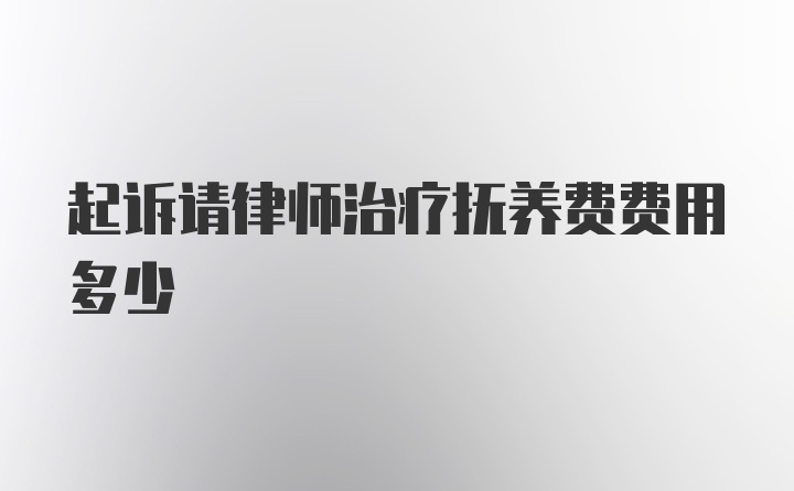 起诉请律师治疗抚养费费用多少