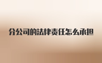 分公司的法律责任怎么承担