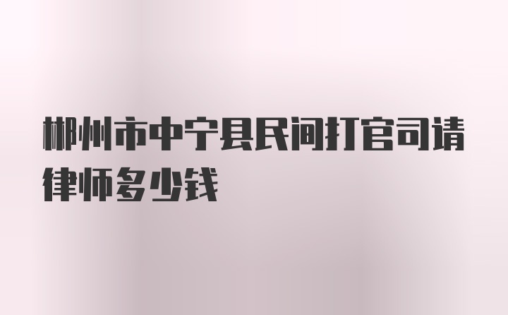 郴州市中宁县民间打官司请律师多少钱