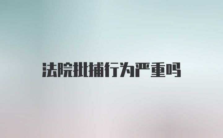 法院批捕行为严重吗