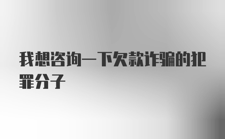 我想咨询一下欠款诈骗的犯罪分子