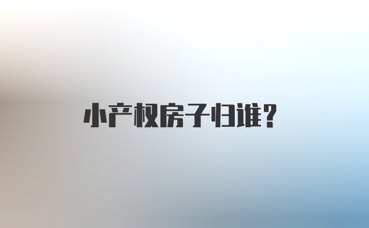 小产权房子归谁？