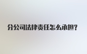 分公司法律责任怎么承担？