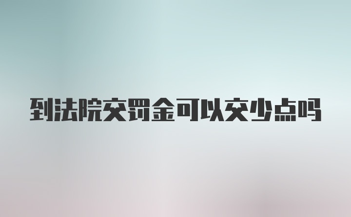 到法院交罚金可以交少点吗