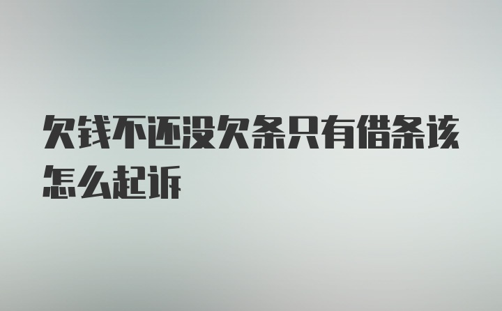 欠钱不还没欠条只有借条该怎么起诉