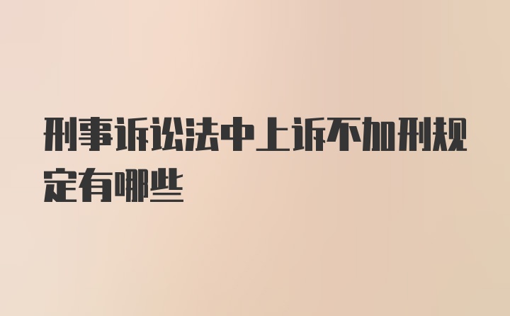 刑事诉讼法中上诉不加刑规定有哪些