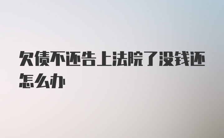 欠债不还告上法院了没钱还怎么办