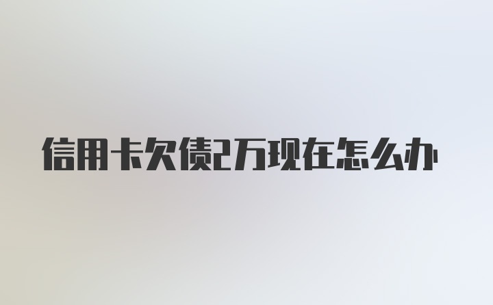 信用卡欠债2万现在怎么办