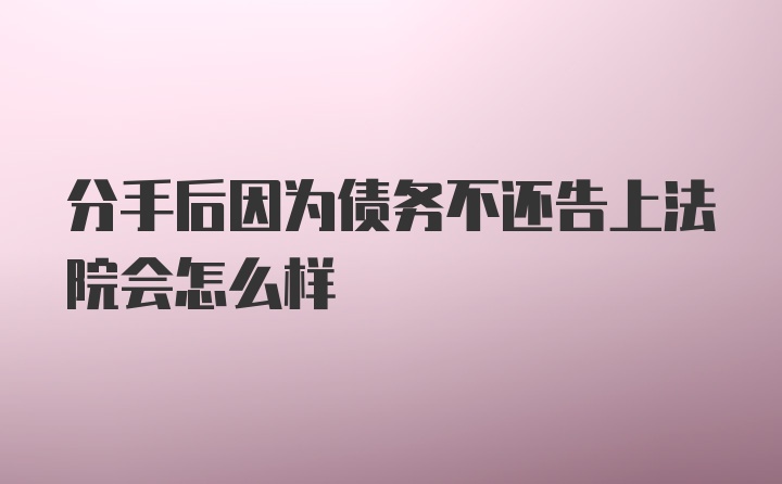 分手后因为债务不还告上法院会怎么样