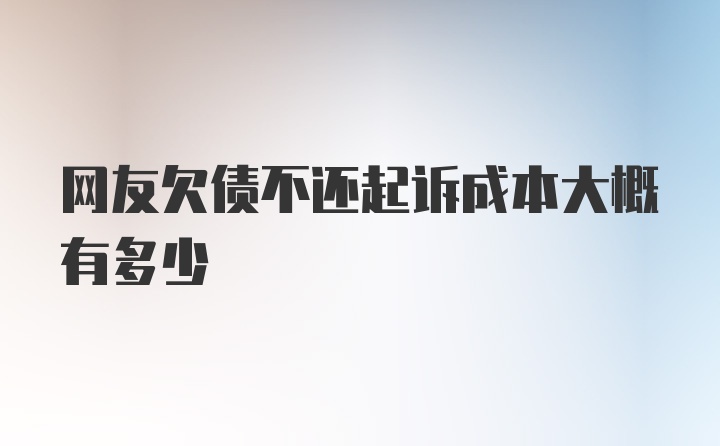 网友欠债不还起诉成本大概有多少