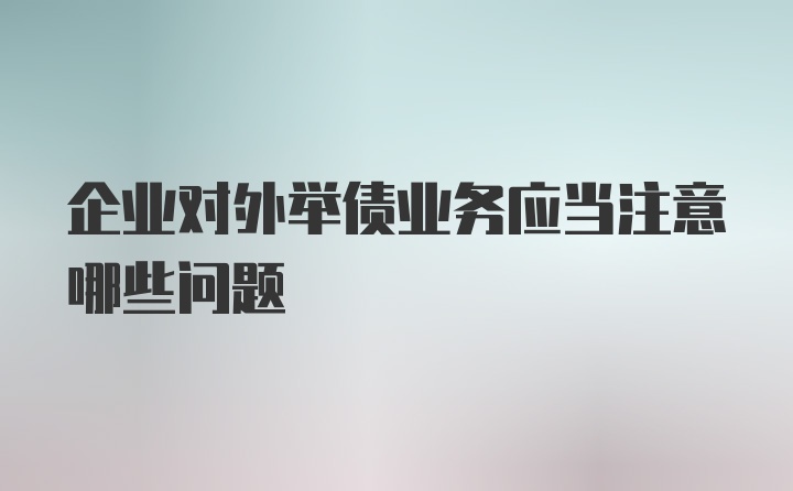 企业对外举债业务应当注意哪些问题