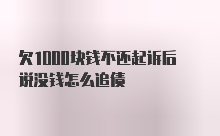 欠1000块钱不还起诉后说没钱怎么追债