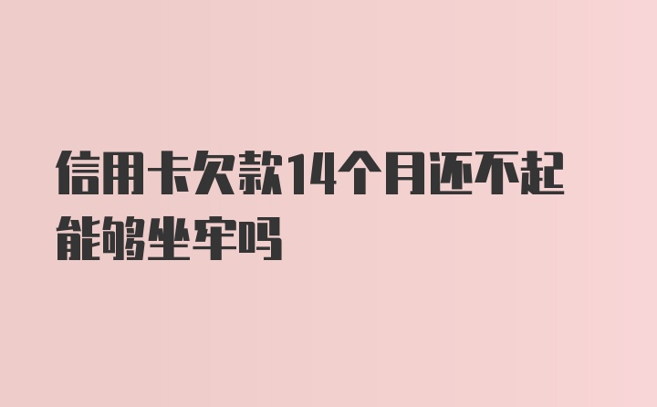 信用卡欠款14个月还不起能够坐牢吗