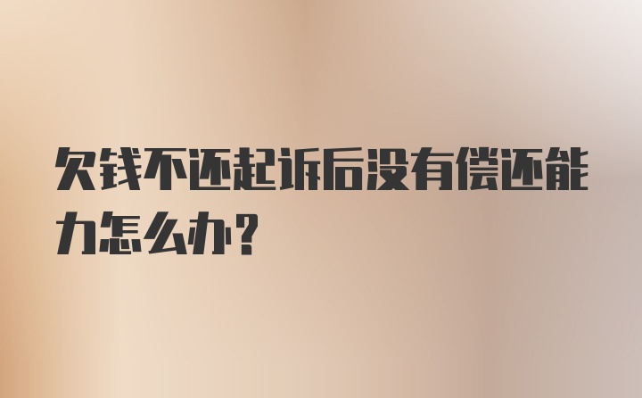 欠钱不还起诉后没有偿还能力怎么办?