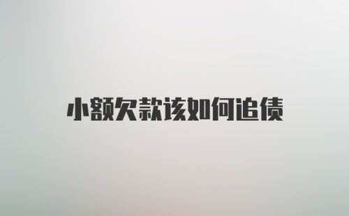 小额欠款该如何追债