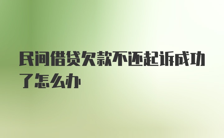 民间借贷欠款不还起诉成功了怎么办