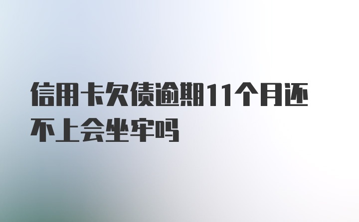 信用卡欠债逾期11个月还不上会坐牢吗