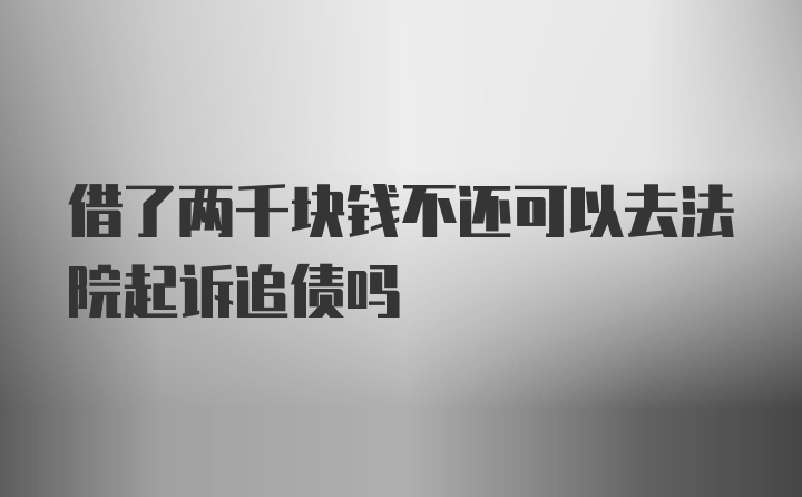 借了两千块钱不还可以去法院起诉追债吗