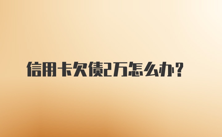 信用卡欠债2万怎么办？