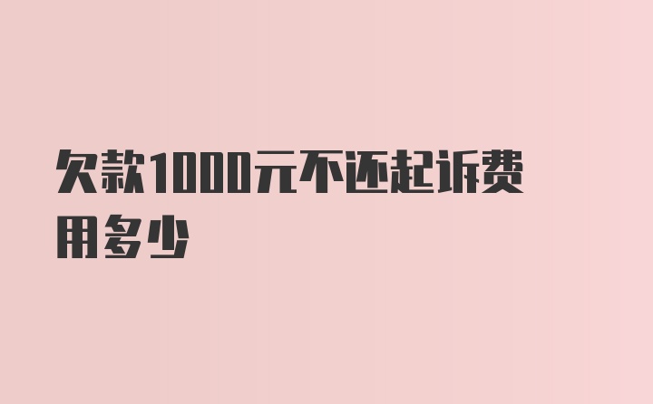 欠款1000元不还起诉费用多少