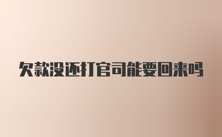 欠款没还打官司能要回来吗