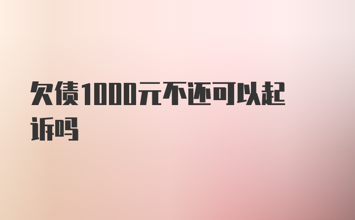 欠债1000元不还可以起诉吗