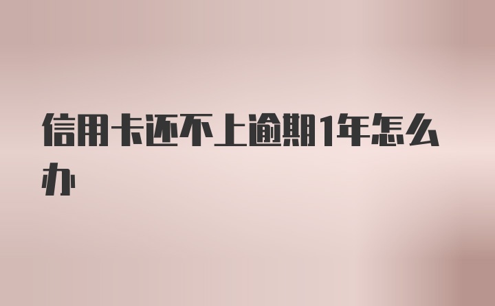 信用卡还不上逾期1年怎么办