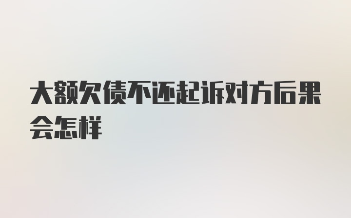 大额欠债不还起诉对方后果会怎样