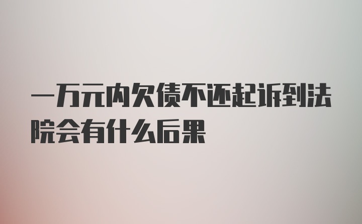 一万元内欠债不还起诉到法院会有什么后果