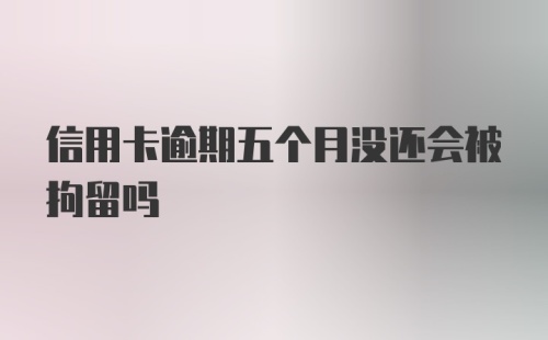 信用卡逾期五个月没还会被拘留吗