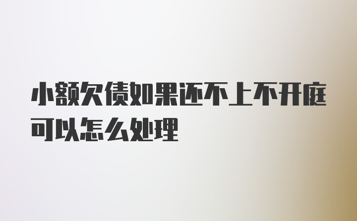 小额欠债如果还不上不开庭可以怎么处理