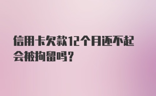 信用卡欠款12个月还不起会被拘留吗？