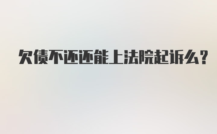 欠债不还还能上法院起诉么？