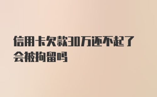 信用卡欠款30万还不起了会被拘留吗