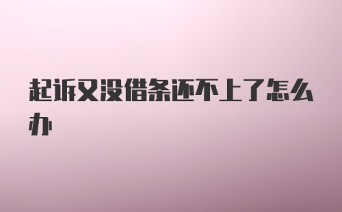 起诉又没借条还不上了怎么办