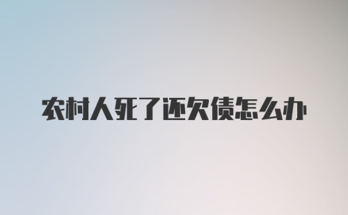 农村人死了还欠债怎么办