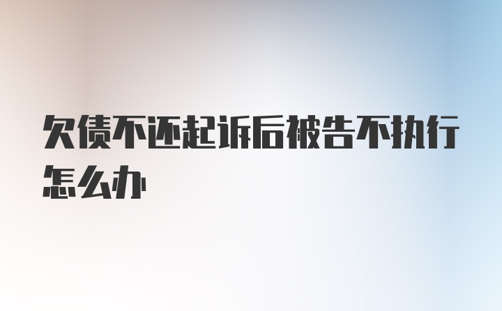 欠债不还起诉后被告不执行怎么办