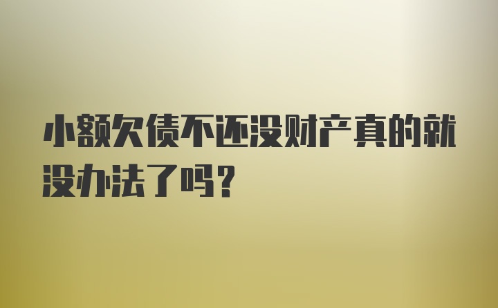 小额欠债不还没财产真的就没办法了吗？