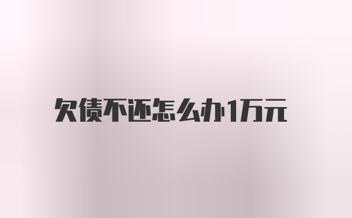 欠债不还怎么办1万元