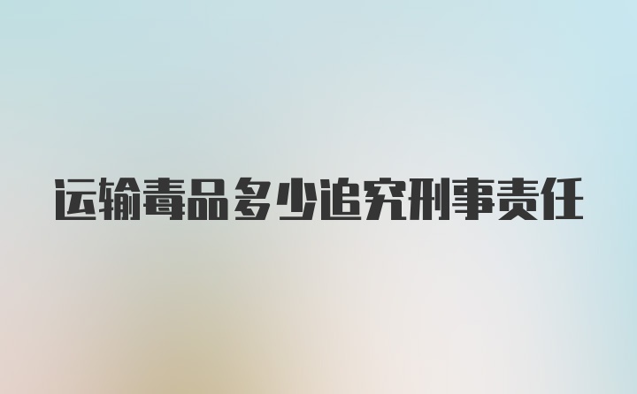 运输毒品多少追究刑事责任