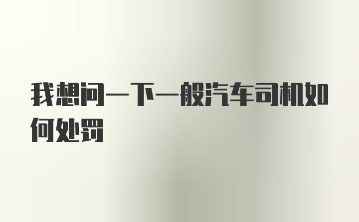 我想问一下一般汽车司机如何处罚