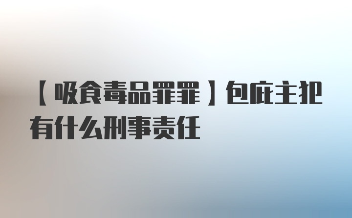 【吸食毒品罪罪】包庇主犯有什么刑事责任