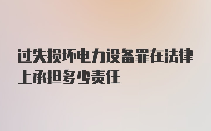 过失损坏电力设备罪在法律上承担多少责任